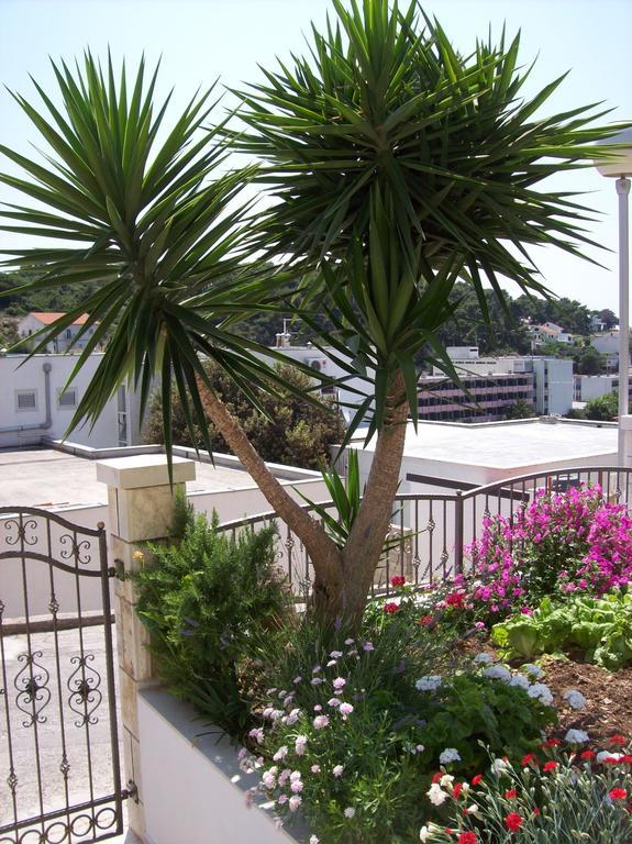 Apartments Prosperina Hvar Hvar Town Kültér fotó